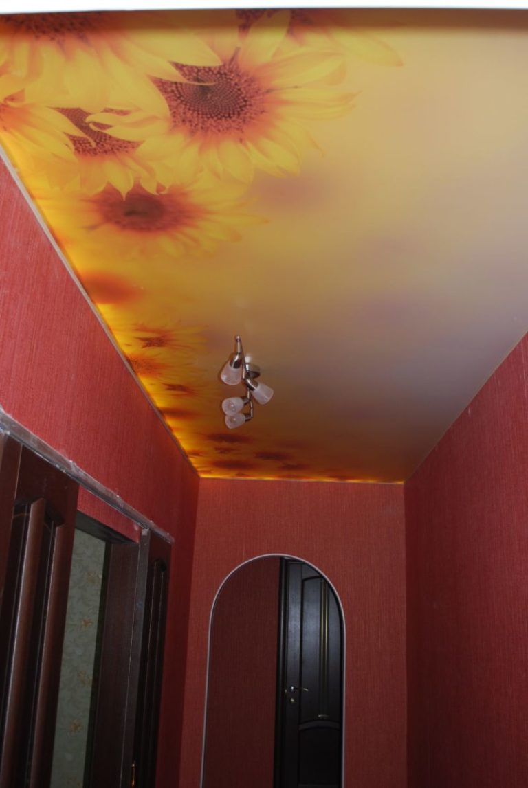 художественный потолок в коридоре