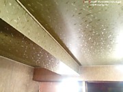 Фактурный натяжной потолок лианы