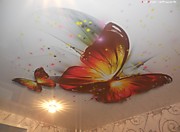Фотопечать художественные натяжные потолки бабочки