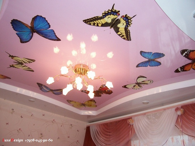 Фотопечать художественные натяжные потолки бабочки