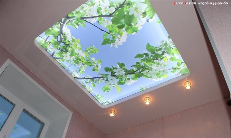 Полупрозрачные потолки Translucent