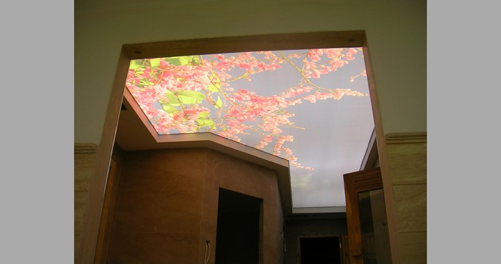 Полупрозрачные потолки Translucent   