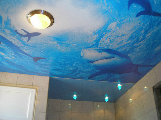 Фотопечать художественный натяжной потолок водный мир