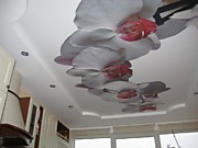 Фотопечать художественный натяжной потолок на кухне