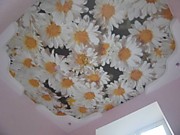 Художественный натяжной потолок ромашки